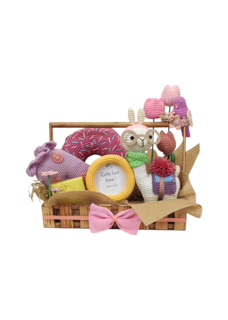 Welcome Baby Girl Hamper