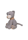 Kitten image 1