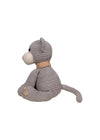 Kitten image 2