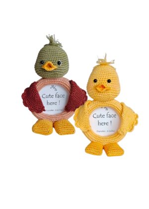Doodles - Duck Frame